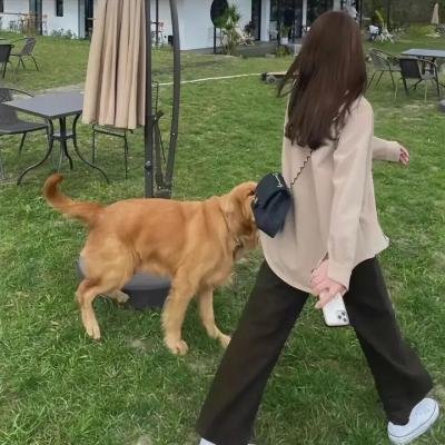 初恋这件小事