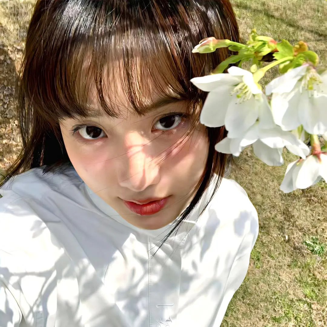 凤仙花